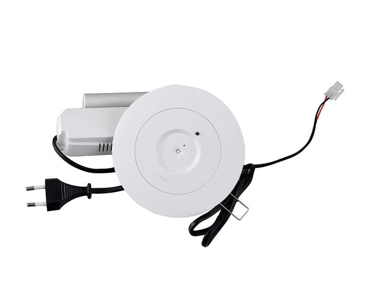 D40-R-2 LED Downlight Acil Durum Fikstürü