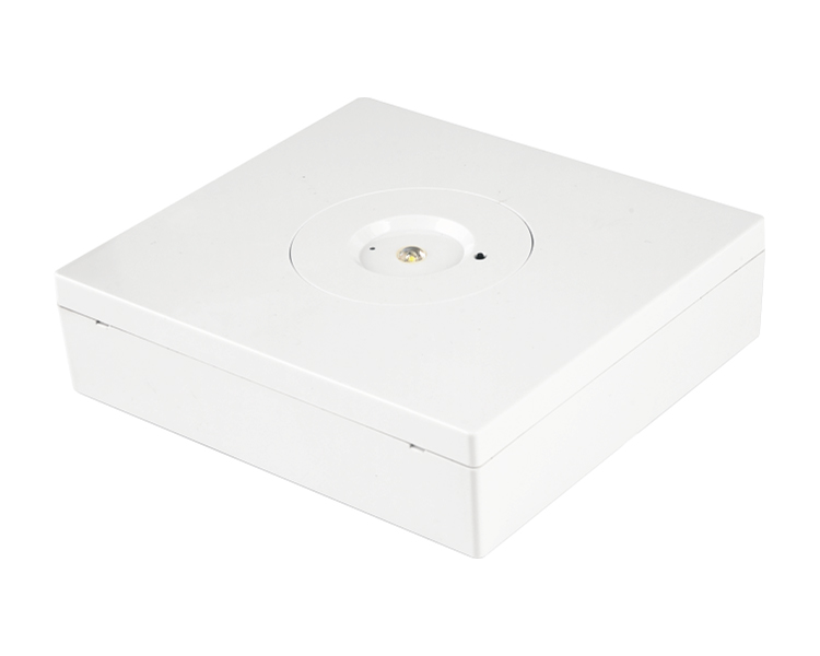 D40-S LED acil durum Downlight