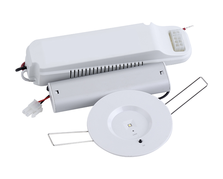 D40-R-1 acil durum LED Downlight