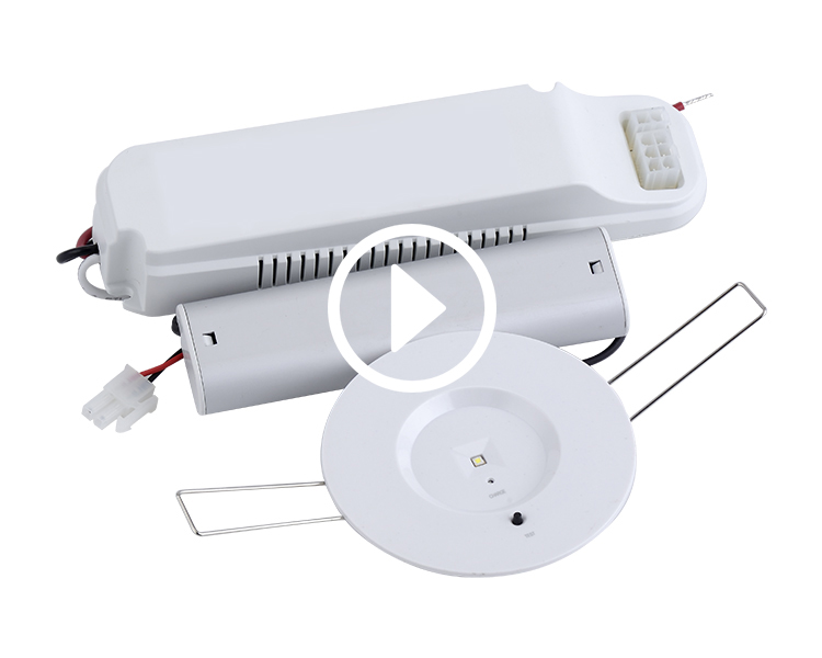 D40-R-1 acil durum LED Downlight